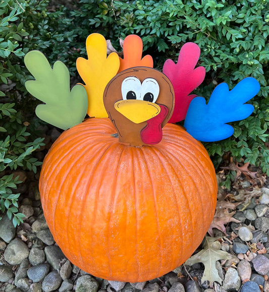 Turkey Pumpkin Kit